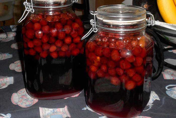 Вишневая настойка
